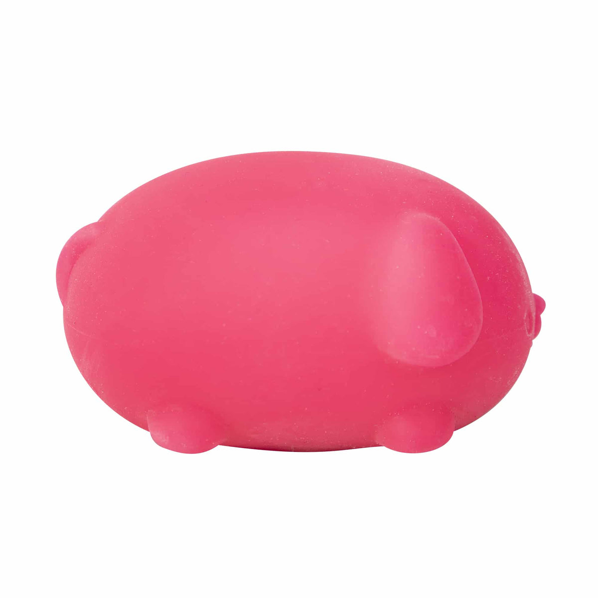 Funky Pup NeeDoh Squish Toy