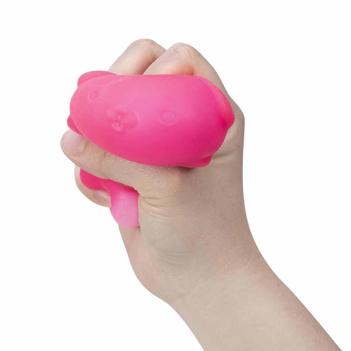 Funky Pup NeeDoh Squish Toy