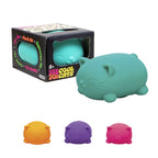 Cool Cats NeeDoh Squishy (Styles May Vary)
