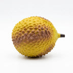 SmushMart Durian Squishy