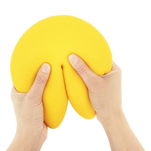 Jumbo Fortune Squishy Toy