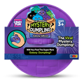 Crazy Fun / RMS International Mystery Dumpling Galaxy Edition